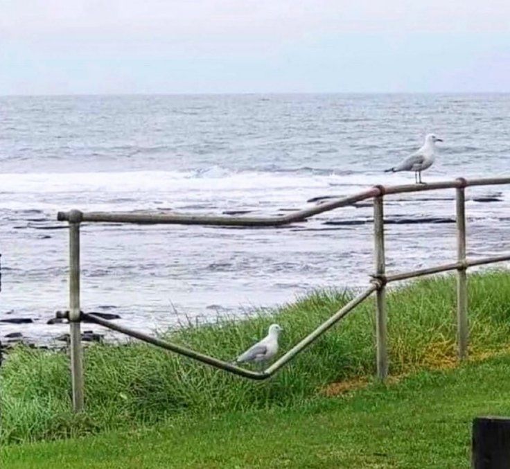 trading_desde_cero.jpg